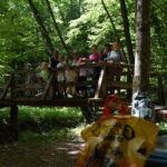 Projekt Y-FOREST "Održivo gospodarenje šumama i borba protiv klimatskih promjena" 2 1y forest