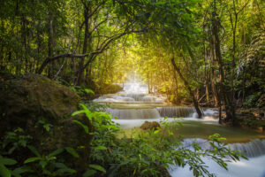 Projekt Y-FOREST “Održivo gospodarenje šumama i borba protiv klimatskih promjena”