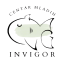InViGor logo