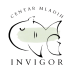 InViGor logo