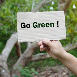 vecteezy_hands-hold-paper-sign-with-text-go-green-in-forest_31216004